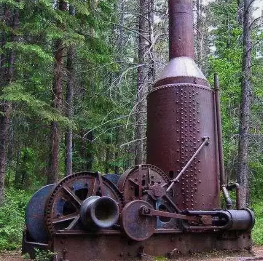 Steam Donkey