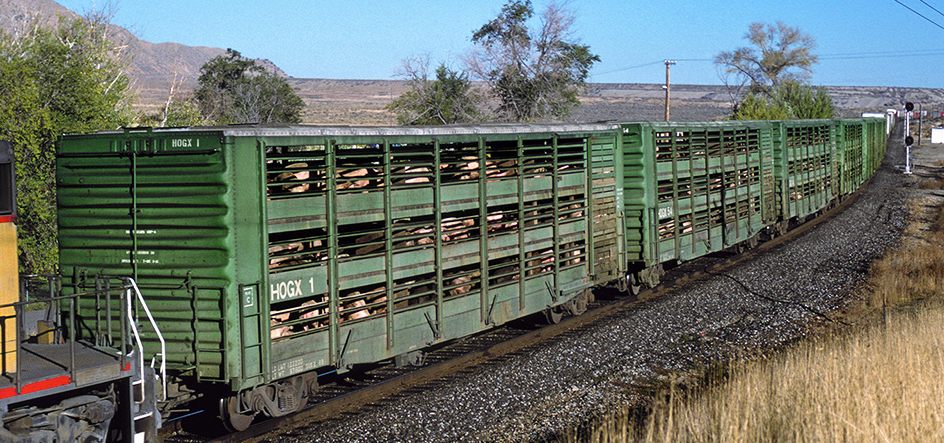 HOGX Rail Car