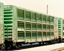 HOGX Rail Car